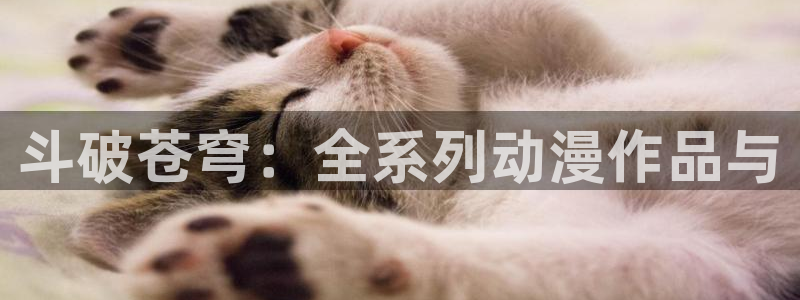 好看的里番动漫网：斗破苍穹：全系列动漫作品与