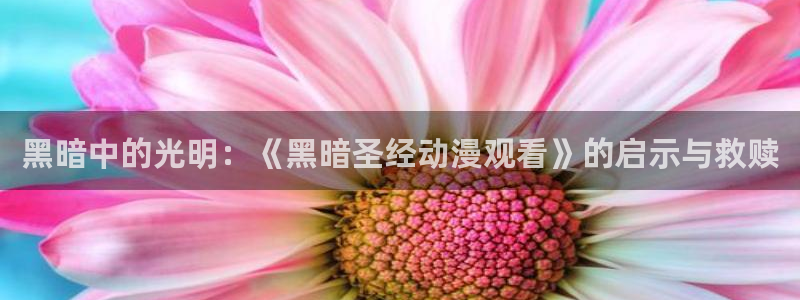 漫画acg里番：黑暗中的光明：《黑暗圣经动漫观看》的启示与救赎