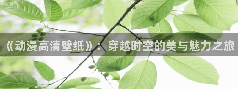 在线里番动漫：《动漫高清壁纸》：穿越时空的美与魅力之旅
