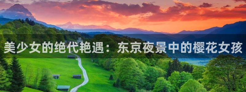 看里番：美少女的绝代艳遇：东京夜景中的樱花女孩