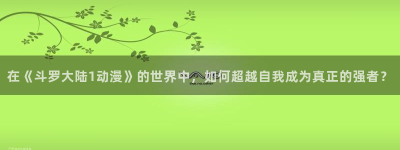 好看的里番动漫网：在《斗罗大陆1动漫》的世界中，如何超越自我成为真正的强者？