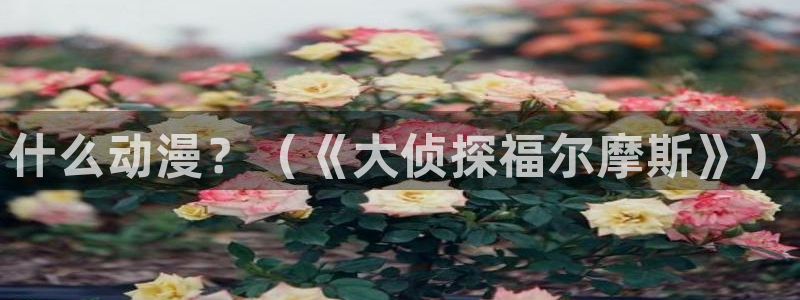 里番动漫影院：什么动漫？（《大侦探福尔摩斯》）