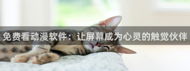 里番动漫风车动漫：免费看动漫软件：让屏幕成为心灵的触觉伙伴