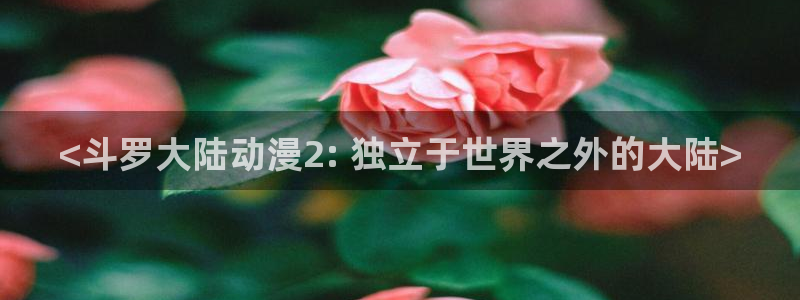 旧里番 动漫：<斗罗大陆动漫2: 独立于世界之外的大陆>