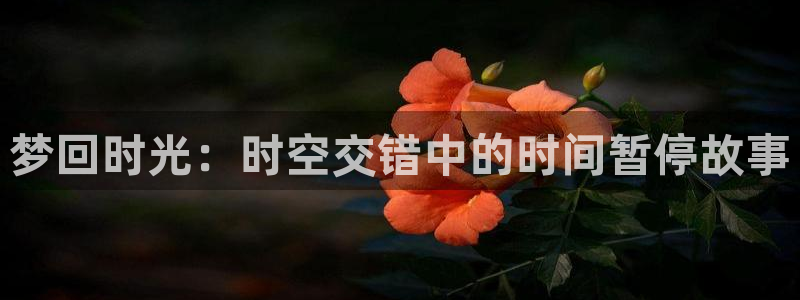 全彩里番漫画：梦回时光：时空交错中的时间暂停故事