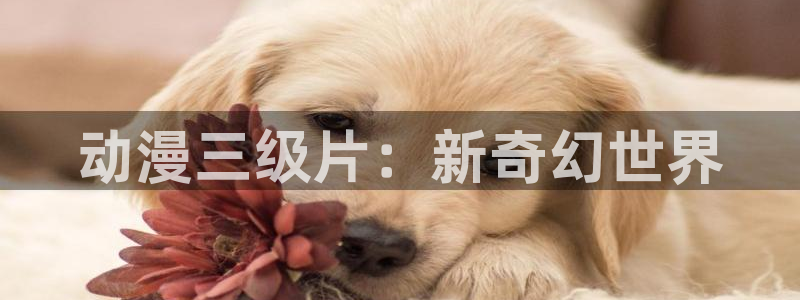 里番在线观看动漫：动漫三级片：新奇幻世界