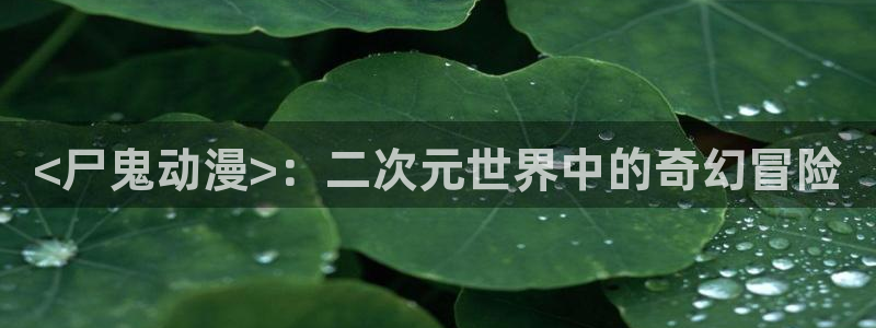 里番动漫的网站：<尸鬼动漫>：二次元世界中的奇幻冒险