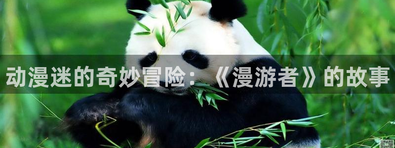 女仆里番动漫：动漫迷的奇妙冒险：《漫游者》的故事