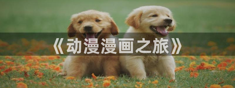 里番成人动漫在线观看：《动漫漫画之旅》
