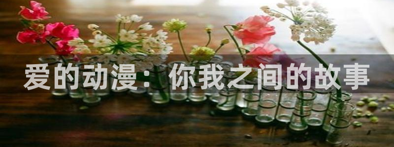 动漫里番资源：爱的动漫：你我之间的故事