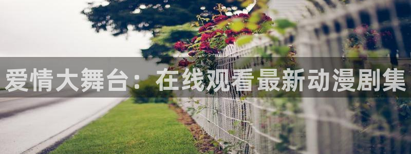 日本动漫里番网站：爱情大舞台：在线观看最新动漫剧集