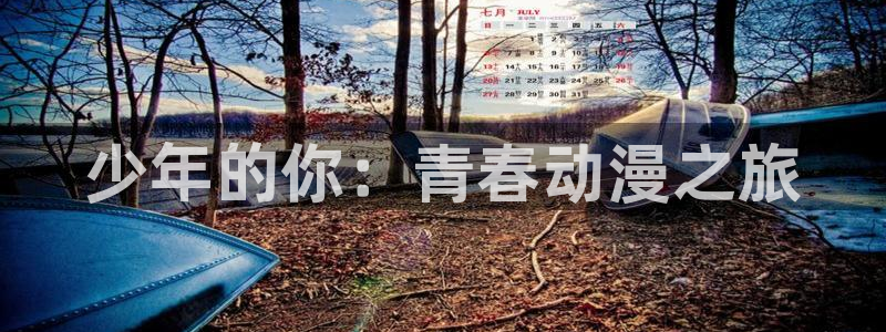 男男动漫里番：少年的你：青春动漫之旅