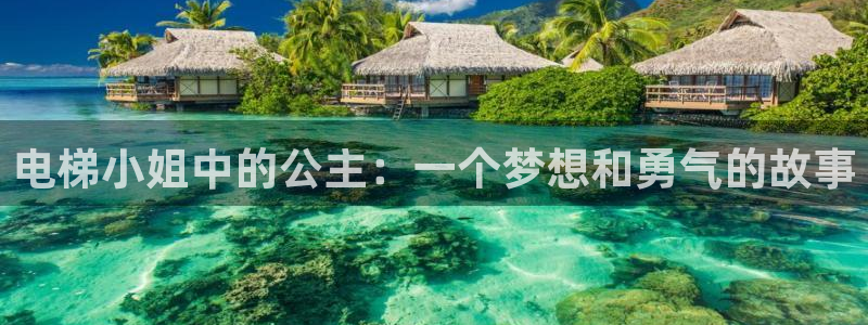 3d同人动漫里番：电梯小姐中的公主：一个梦想和勇气的故事
