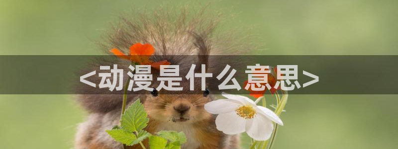 无翼鸟里番漫画大全：<动漫是什么意思>