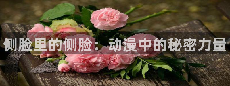 新番里番动漫：侧脸里的侧脸：动漫中的秘密力量